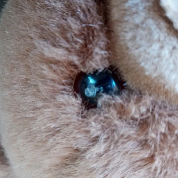 Gund teddy bear - Picture 2 of 3